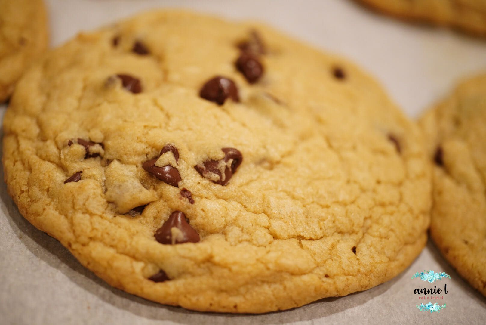 Best Soft Chocolate Chip Cookie Recipe Annie T Eat Travel