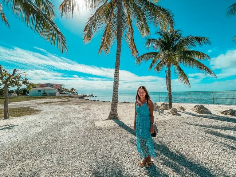 Read more about the article Florida