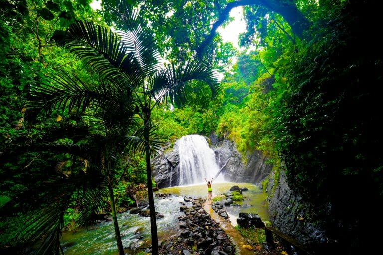 Read more about the article Fiji